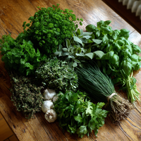 Traditional Medicine